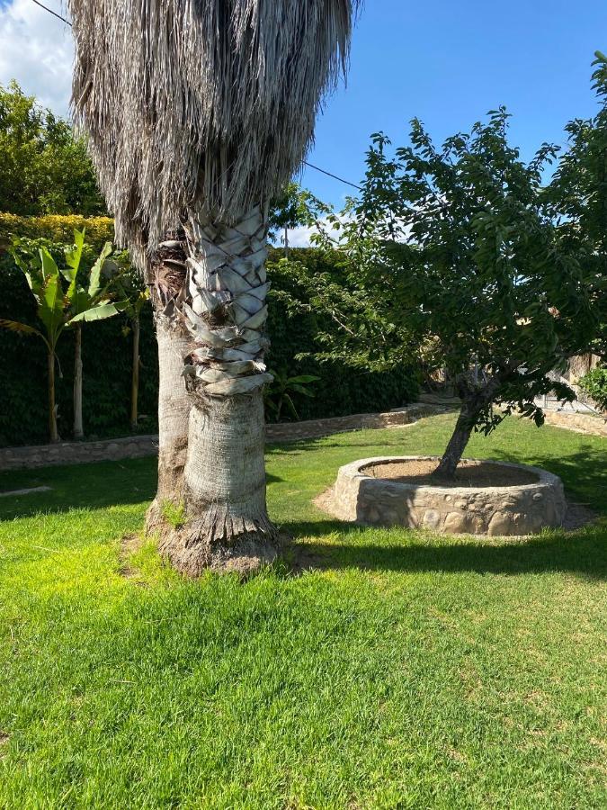 Masia Pau Prat Llica d'Amunt Екстер'єр фото